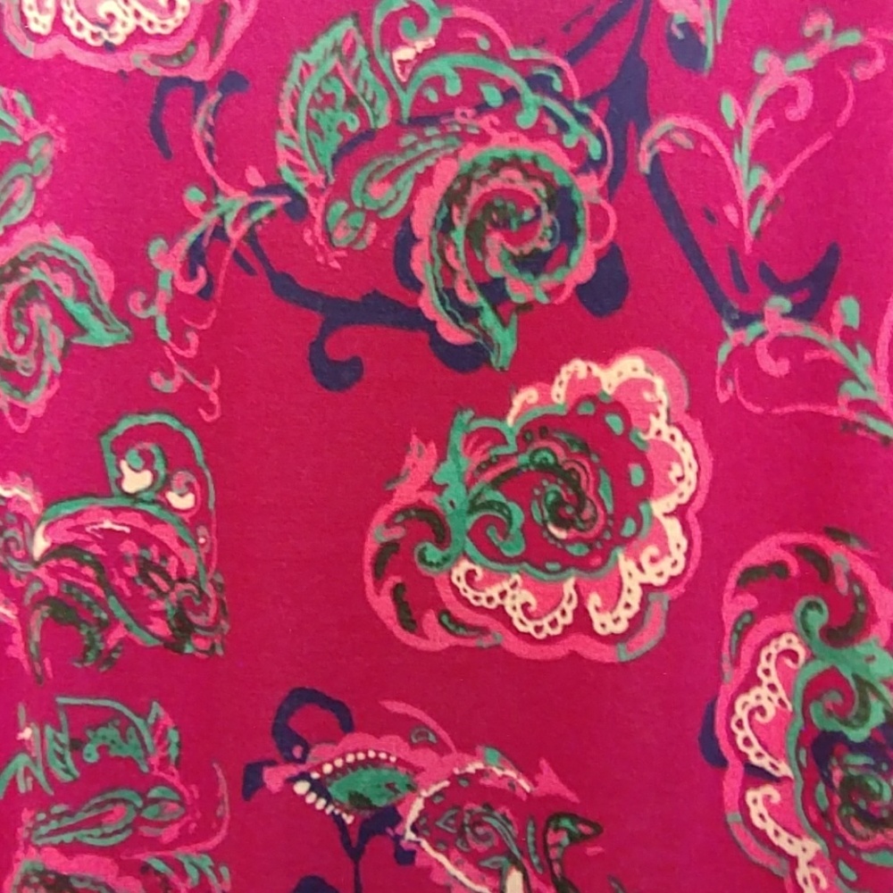 BNWT Pink, paisley, floral XL Maria dress.